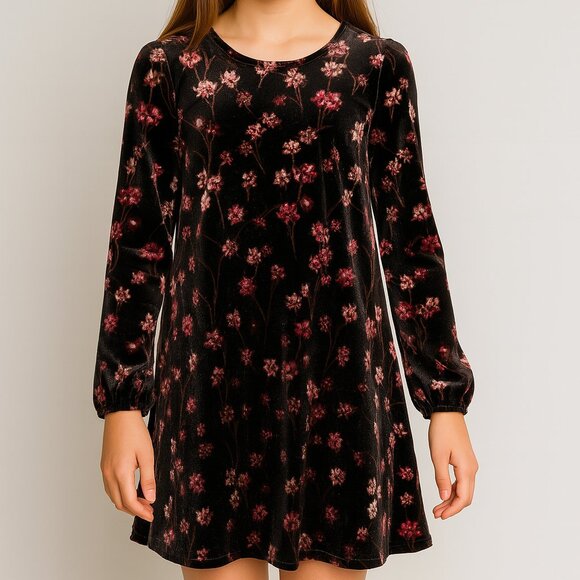 Ella Moss Girls Whimsy Floral Velvet A Line Skater Dress Size 12 - Picture 1 of 7